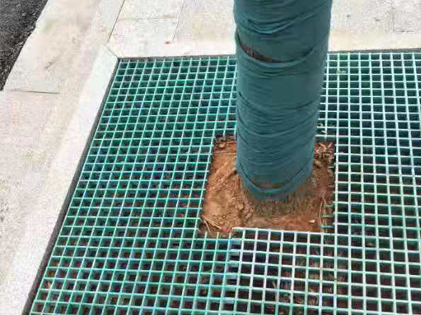 樹(shù)篦子在使用中起什么作用