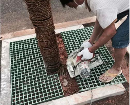 樹(shù)篦子特性